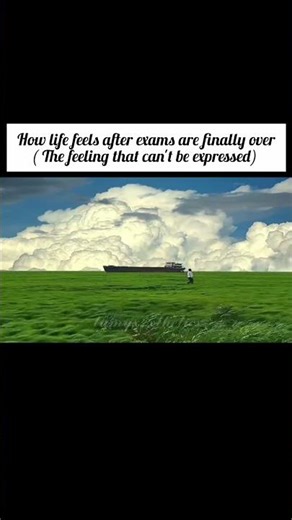 the feeling 💫🤌🏻✨ @Lumyx_xthetics