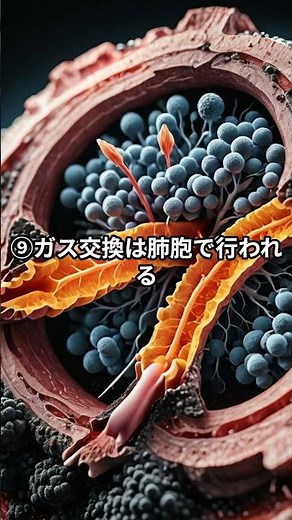 知らなかった「酸素と二酸化炭素の役割の違い」10選 #雑学 #豆知識 #トリビア #無駄な知識 #知識