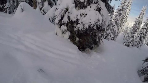 Father’s Quick Thinking Saves Son from Tree Well During Skiing Adventure in Idaho!