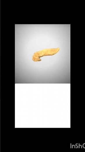 Pancreas Surgical Anatomy in 3D: Key Structures & Surgical Insights #PancreasAnatomy #Surgery #3DMed