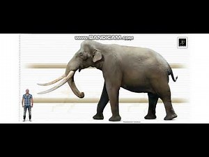 Palaeoloxodon Namadicus Sounds