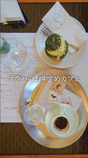 チェコ旅行🇨🇿 カフカやアインシュタインが通ったプラハのカフェ Café Louvre #旅行 #プラハ観光 #シュークリーム