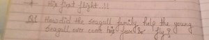 * His first flight. I!Q1 How did the seagull family help the ... | Filo