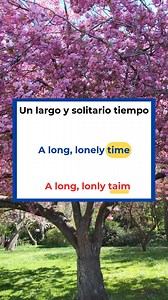 Aprende inglés cantando esta canción y mejora tu pronunciación. Comenta "LETRA" para tener acceso a muchas letras completas de canciones en inglés 🤩🎤🎼 #inglésparaeltrabajo #aprendeingles #aprenderinglesconcanciones #aprenderingles #inglesonline #inglesdesdecasa | Misión Inglés