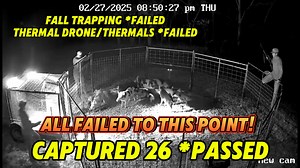 IM BACK! Right right where I left off. We tried trapping tried thermals and a thermal drone. Back to final attempt trapping! And we got them shoutout to Dirt Works Outfitter Dawson Anderson Semper Fly Drone Hunter Walker-Newsom #fyp #hogtrapper #foryou #fyp #vermincontrol #boarxtinction #wildboar #thermaldrone #thermaloperation | Dustin Lane Ratchford