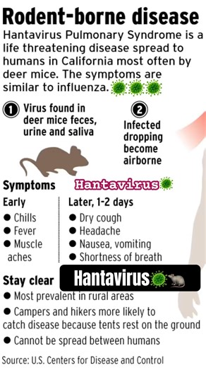This virus starts with rat droppings… and can attack your lungs 🦠🐀☠️ #hantavirus