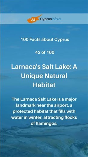 Must-See: Larnaca Salt Lake! 🌊