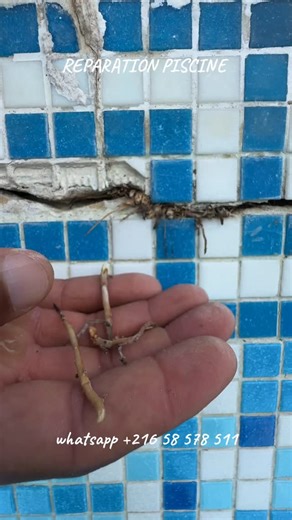 Reparation piscine #djerbaetanche | Djerba Etanche