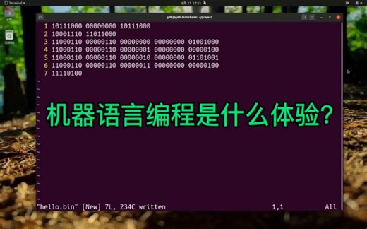 用机器语言编程