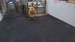 5.7K views · 61 reactions | Ennis Mart Tuesday 5th October 2021 Very...