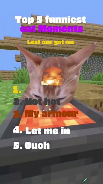 5 Funniest Minecraft Cat Moments😂🐱⛏️#fyp #cat #minecraft #ranked #funnycats #top4 #top5 #rankin #top