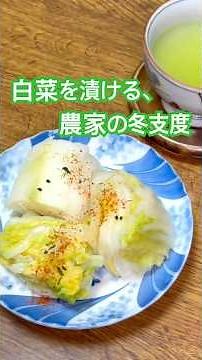 【農家の冬支度】白菜漬け作りから最高の食べ方まで #shorts #保存食 #漬物 #発酵食品 #発酵食 #おうちごはん #農家飯 #ぶーみん