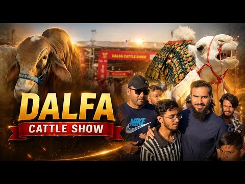 DALFA Cattle Show 2026 🐄🔥 | Karachi Expo Centre Full Tour | Biggest Animals Show Ever