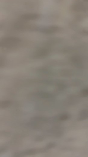 9.1K views · 260 reactions | Ba Copala the ceiling commander is still in the building get your self a quote fro@ the ceiling dokota have a look at some works we did for Mr and Mrs Simukoko+260977229985. | Mwansa ceiling enterprises | Facebook