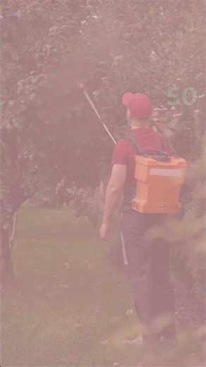 The best pest control in Buffalo, NY! #shorts #exterminator