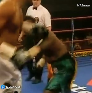 16K views · 223 reactions | Down But Not Yet OUT 7! The Most Inspiring Comeback Wins in Boxing | SFB | Facebook