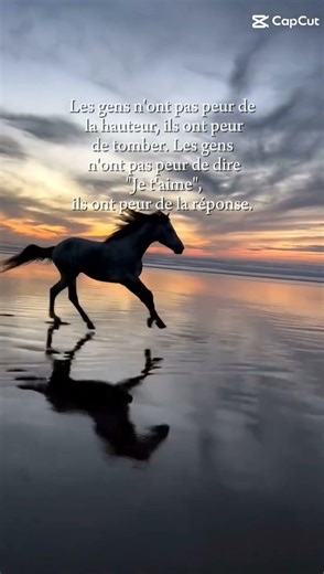 #viral #peur #citation #pourtoi #faitepercer #horse