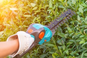 What is the Best Small Hedge Trimmer of 2024?