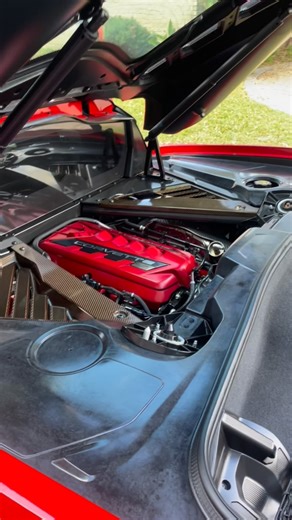 Duane Dembski on Instagram: "Your engine bay should look as good as the rest of your car. Professional engine bay steam cleaning removes built-up grease, grime, and dirt safely no harsh chemicals, no shortcuts. Clean motor. Clean look. Proper care. 📍Houston / Spring, TX 📲 Book now before spots fill. #detailing #fyp #houston #pov #corvette"