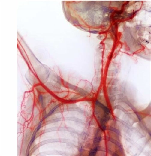 I’m waiting patiently for him. #minecraft #fyp #tiktok #him #school | minecraft