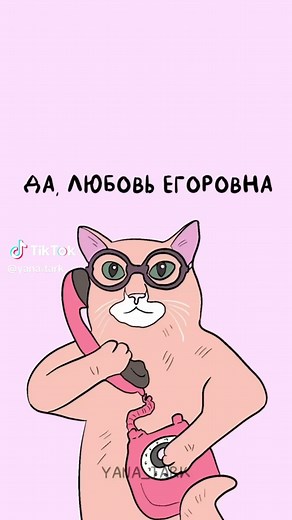 Что это было?! Смешное видео с котиком и звонком
