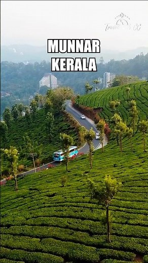 Munnar Kerala Trip 2025 | Tea Gardens, Sightseeing & Best Places to Visit 🇮🇳