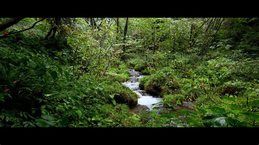 Travel through time with Japan Heritage!🌏 Uncover the stories that shaped Japan’s culture and traditions, passed down through generations. Explore breathtaking #JapanHeritage sites and experience the timeless beauty of this incredible nation🇯🇵 The Agency for Cultural Affairs invites you to watch stunning videos showcasing these cultural treasures. 🎥✨ Watch them now on the official YouTube channel! ⛩️Izumo: Myths, gods, and stunning sunsets 📽️ https://youtu.be/tgeCCvS4y4k ⛰️Mt. Daisen: Lives
