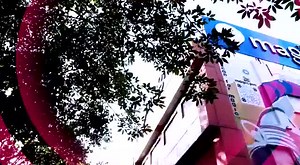 magicpin is an offline local discovery, rewards & commerce platform founded in 2015 that enables users to discover their city & save on purchases | Republic