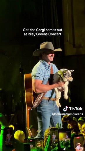 Carl the Corgi at Riley Green Concert: Viral Cowbo y Corgi Moment