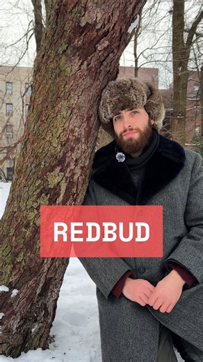 Levi O’Brien on Instagram: "While not technically native to New York State, Eastern redbud (Cercis canadensis) is native to a vast portion of Eastern North America. This tree makes an incredible small stature ornamental tree, for shade, flowers, and edible use (young fruits and flowers)! in addition to its multi-stem, low, leaning habit (and quite distinct twigs, which we’ll cover, soon), Eastern redbud can be readily ID’d by its bark."