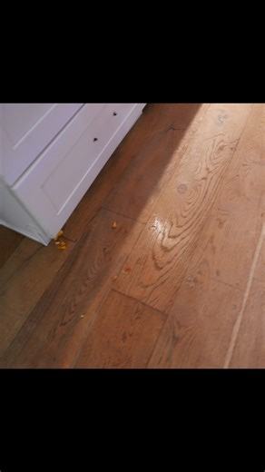 When you play Korean rock paper scissors to see who has to clean up... | MAZELEE