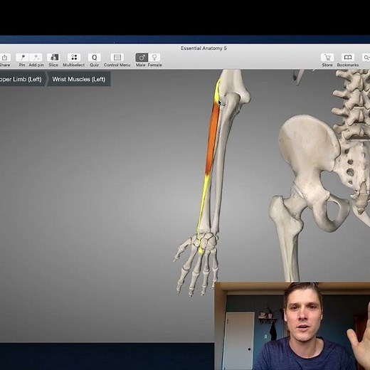 Tennis elbow self-massage techniques and tips