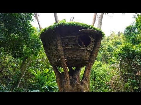 Building a Tree Vine Shelter in the Wild | Ultimate Jungle Survival Build @outdoorboys