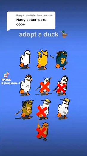 Replying to @patriktiktoker adopt a duck