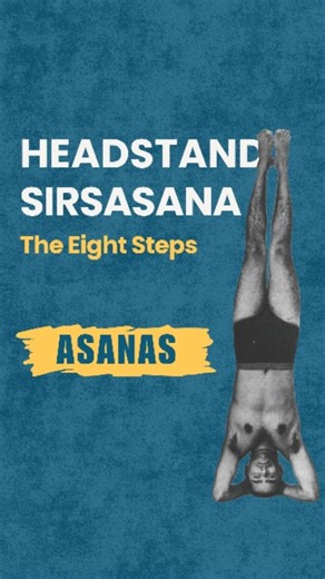 🎥 How to Instruct the 8 Steps of Headstand (Sirsasana) Our Teaching Series begins with the King of Asanas👑 In this reel, we break down: ▶️ how to verbally guide each stage ▶️ how to prepare students before lift-off ▶️ how to sequence the eight steps clearly Follow the series as we continue with instruction & correction reels for the 12 Basic Asanas. 👉 Save this for your teaching toolkit. 👉 Follow for the full teaching series. 💬 Have doubts about teaching Headstand? Comment below 👇 #Sivanan