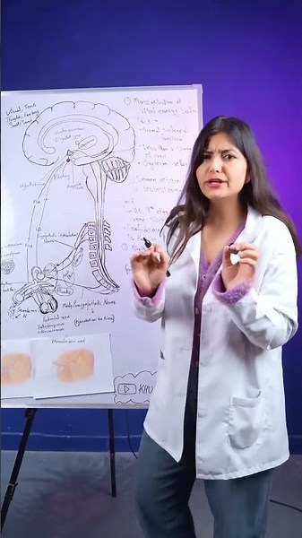 How Semen Travels Through Your Body ? ¦ Dr Sonali