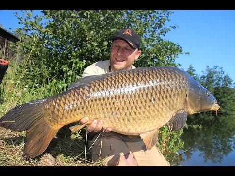 Karpfenangeln neu definiert/ Fischen mit der Multirolle/Angeln in Hindernissen
