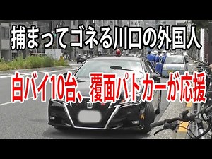 外免じゃね？白バイに交通違反で捕まりゴネる外国人ドライバー！応援要請に緊急走行で駆け付ける交通機動隊の白バイ10台と覆面パトカー