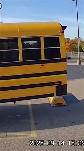 . Imagine a racoons taking control over your bus 🤣#AI#viralvideo#foryoupage