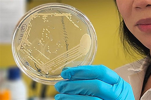 Study helps explain rare condition that causes the body to produce its own alcohol