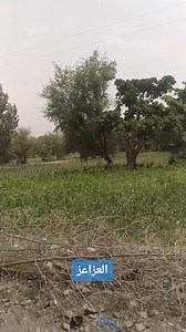 عزلة العزاعز مديرية الشمايتين ريف تعز | شعيب الهويش