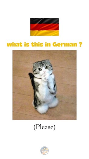 Basic German Phrases Every Beginner Should Know 🇩🇪