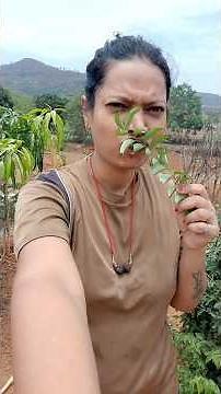#nilam_kumbhawade💃माझी डोंगरावरची सुंदर वाडी.….🏕️🤌
