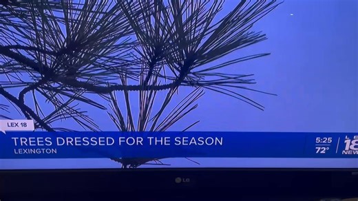 Friends of Jacobson Park #lfucgtreeweekoct #friendsofjacobsonpark #TreeWeek | Friends of the Parks in Fayette County Inc