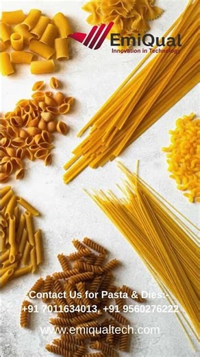 Low Investment, High Profit Pasta Business Idea with EmiQual #shortsfeed #shorts #short #shortsvideo