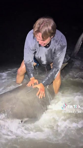 Catching a Tiger Shark North of Florida | 2026