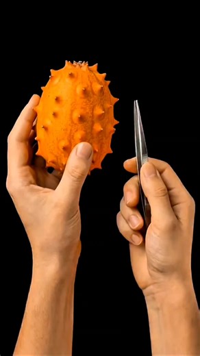 Fascinating Random Facts You Didn't Know