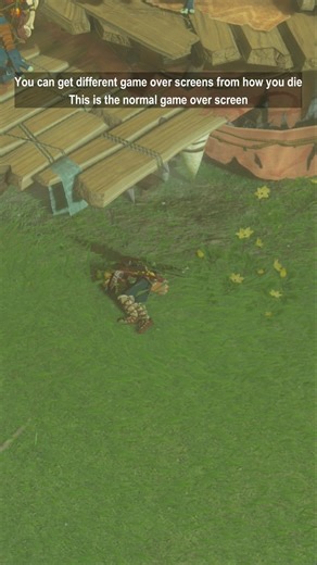 Different Game Over Screens in Botw and Totk #zelda #nintendo #nintendoswitch2 #shorts