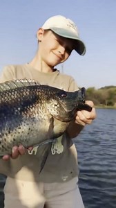 1.6M views · 30K reactions | Tilapia Fish #science #sciencefacts #astronomy #space #facts #fbreels #fypシ #fypviralシ #fypageシ #reelsfypシ #foryouシ #foryoupage #viralreelsシ #virals | Galactic Guru | Facebook