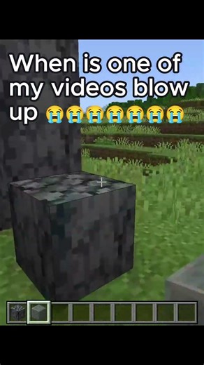 pls guys come on #minecraft #brainrot #gaming #goon #memes #shorts #fart #phonk